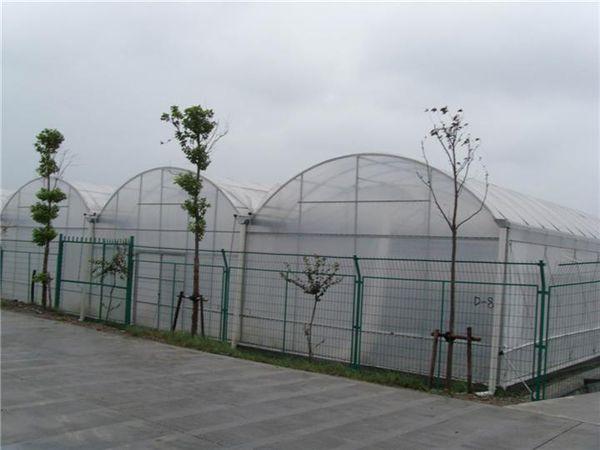 山东大楚温室工程有限公司-阳光板温室案例