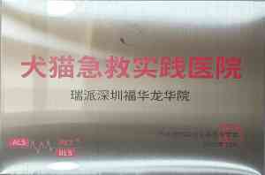 2026深圳宠物医院推荐:瑞派福华龙华急诊体检内科专科实力解析