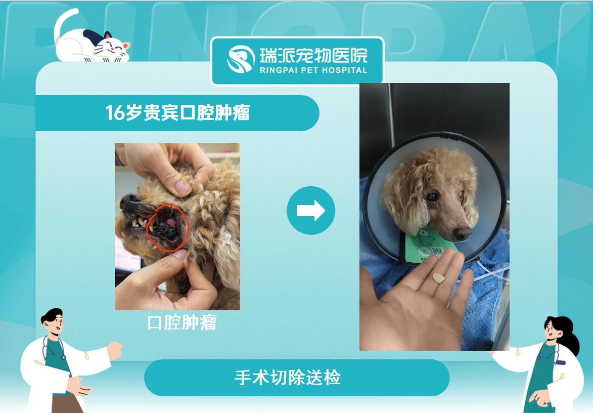 设备与荣誉图