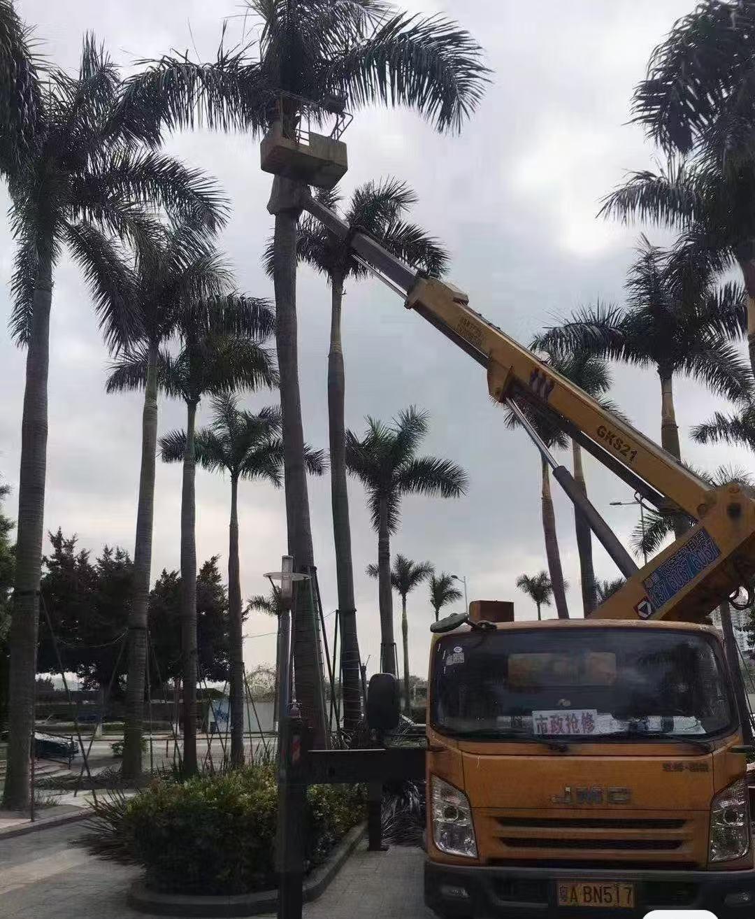 高空车租赁服务