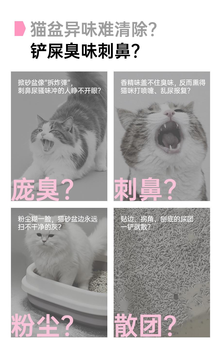 河南宠在指尖猫砂产品细节图