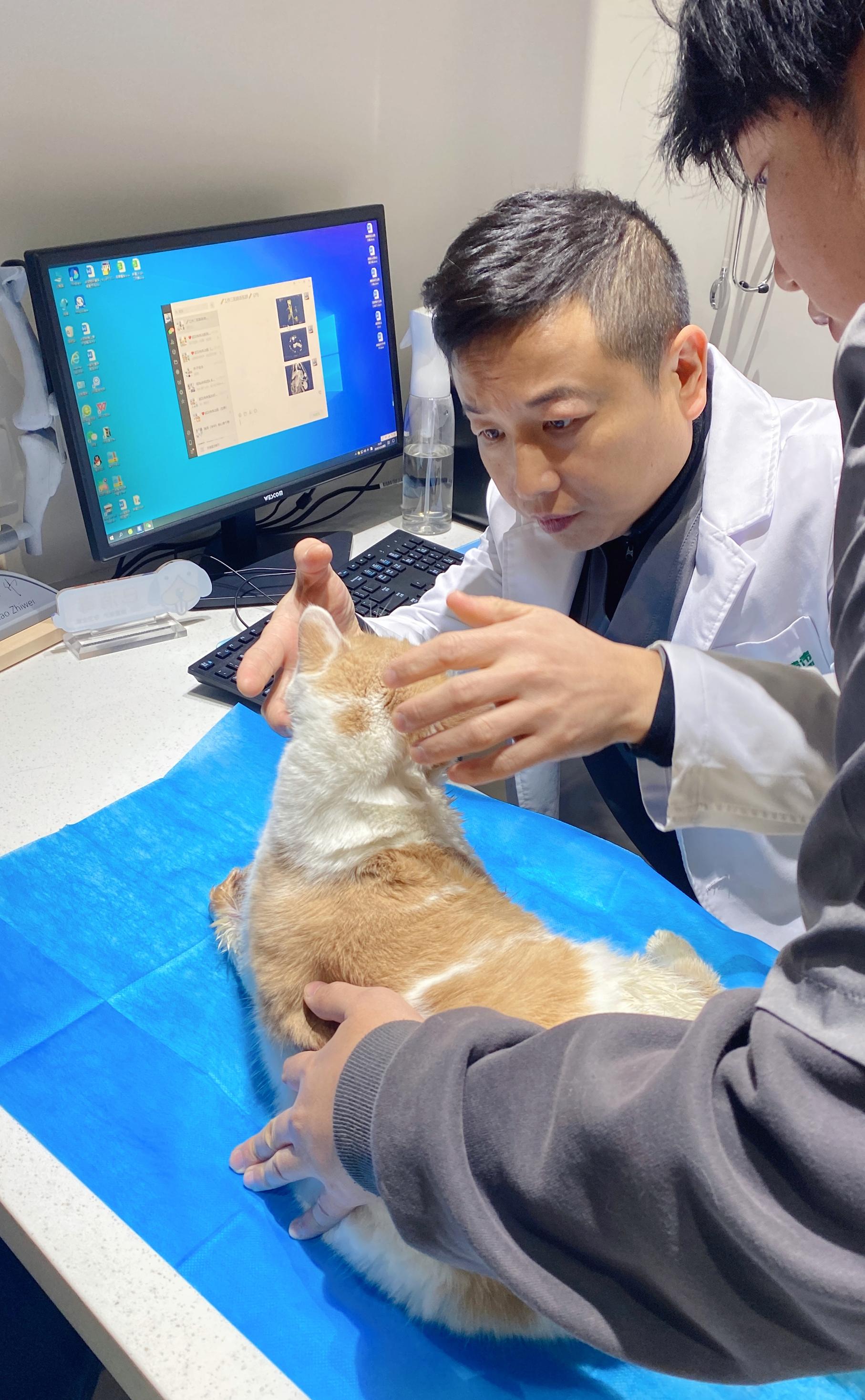 瑞派伟伟融科宠物医院