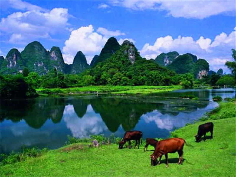 河南途风国际旅行社有限公司