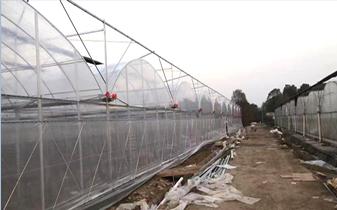 潍坊圣宝利农业科技厂区图