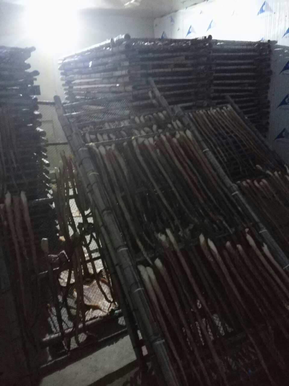 能茵热泵工厂实景