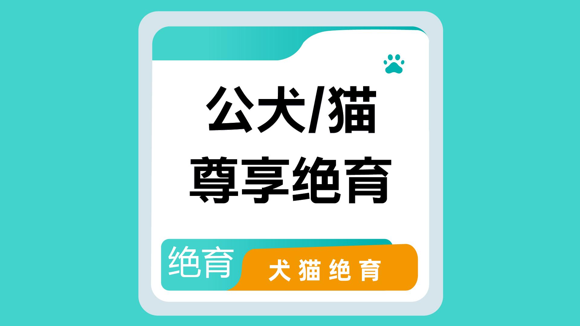 小雨滴宠物医院内部诊室