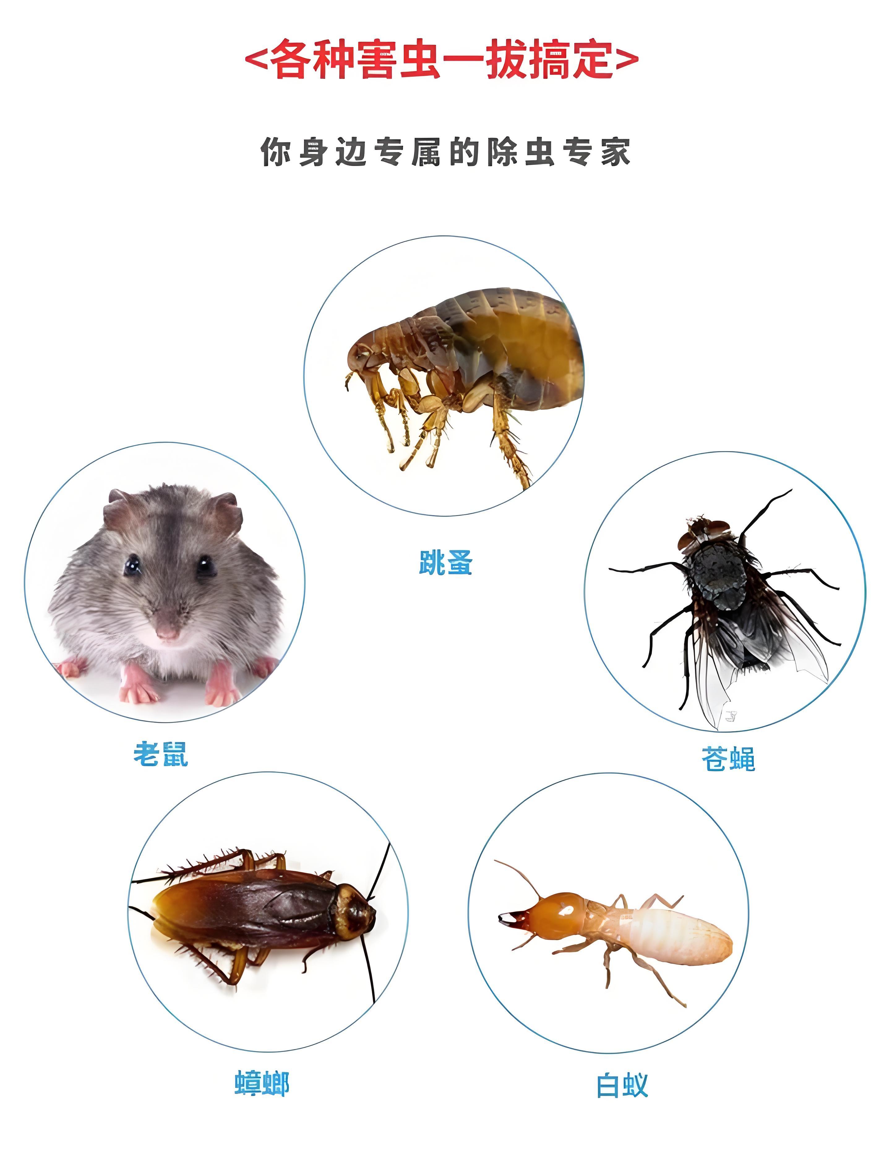 南通佳禾虫害防治服务