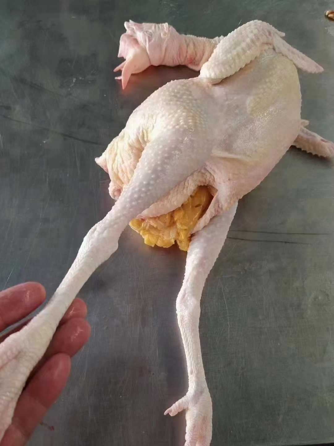 冷链仓储