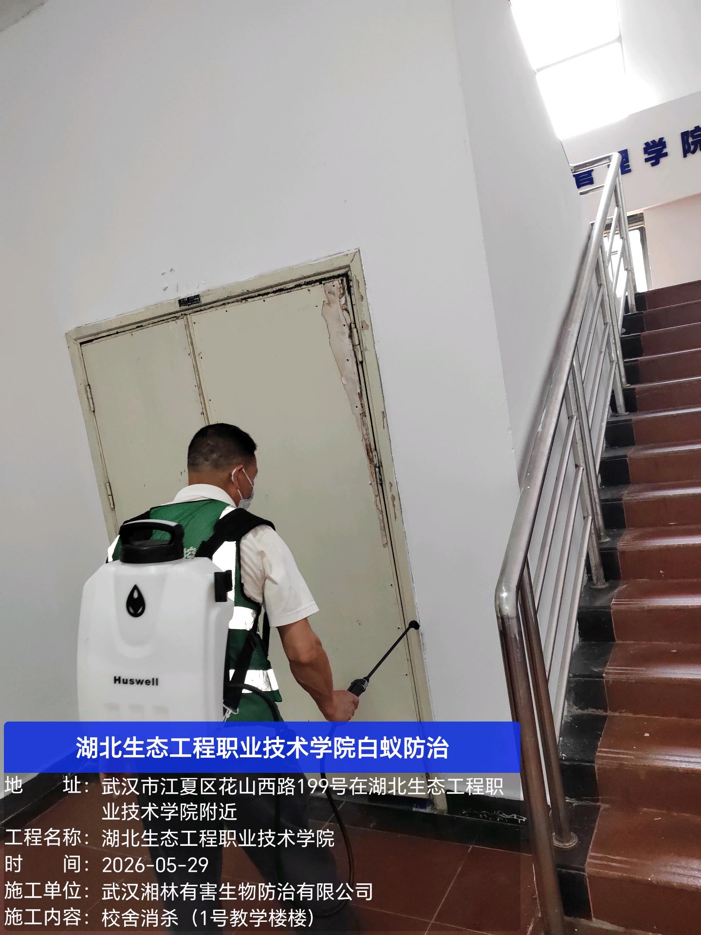 武汉湘林有害生物防治技术团队作业