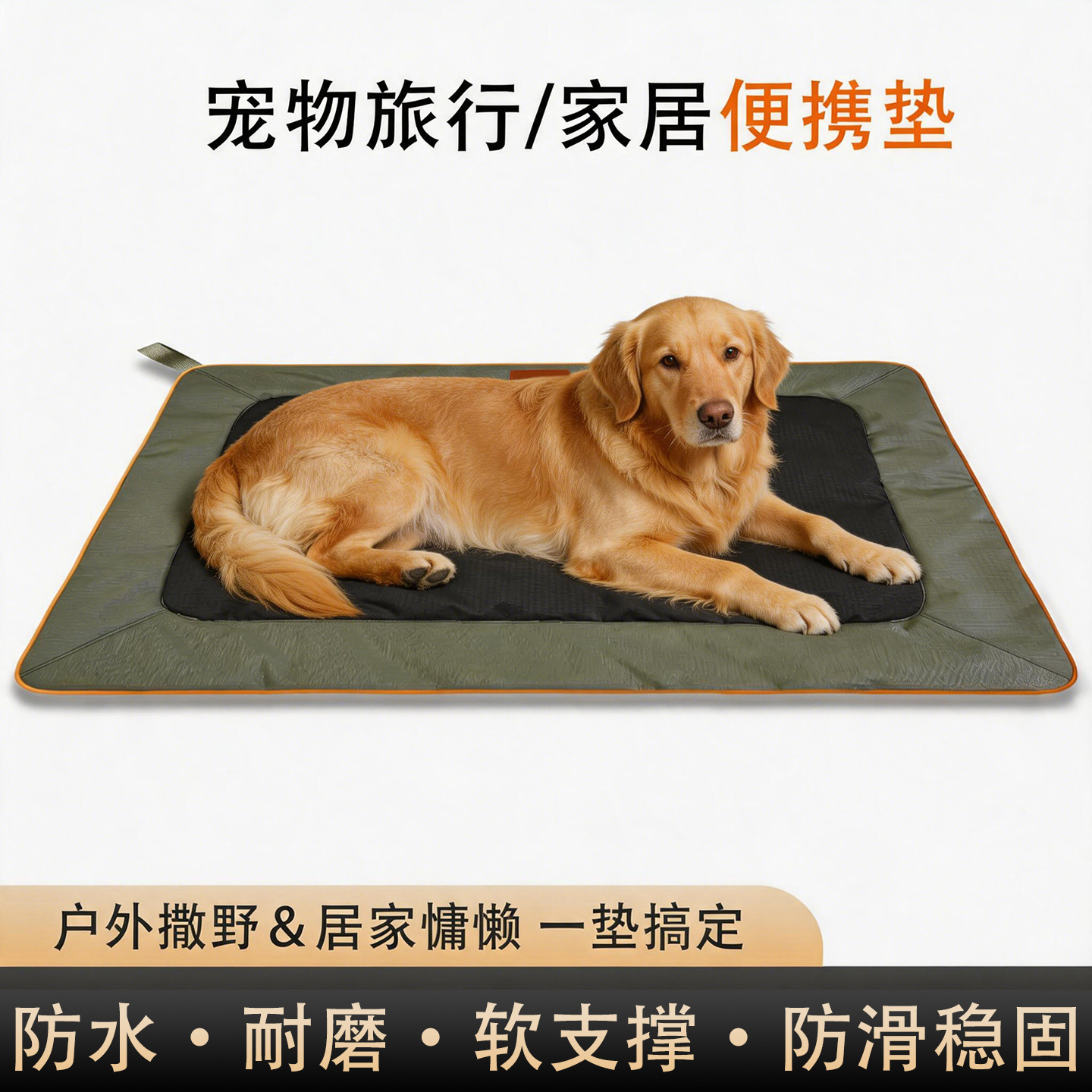 山东佩迪熊宠物用品有限公司车间展示