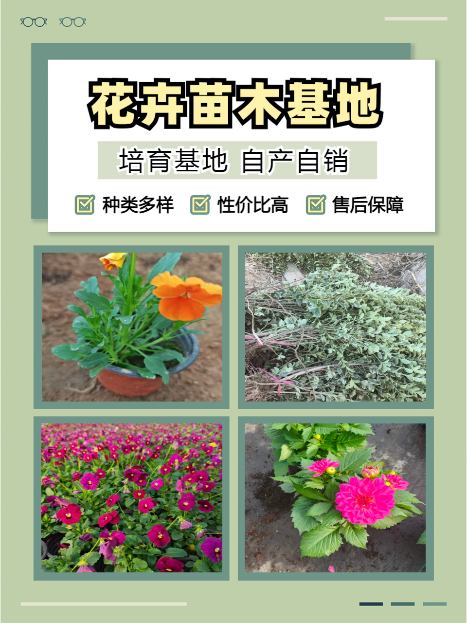 草花基地实拍