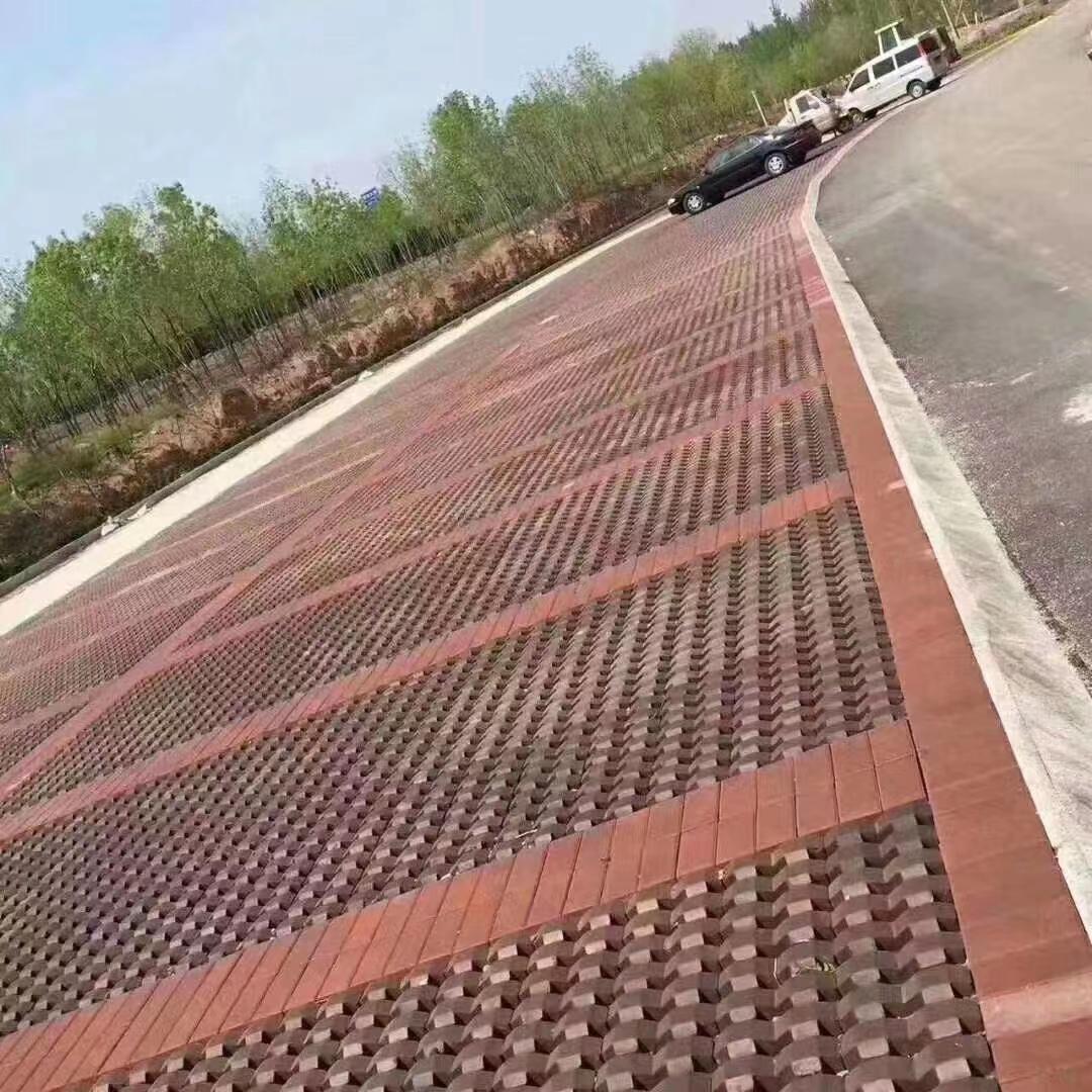 草坪砖产品实拍