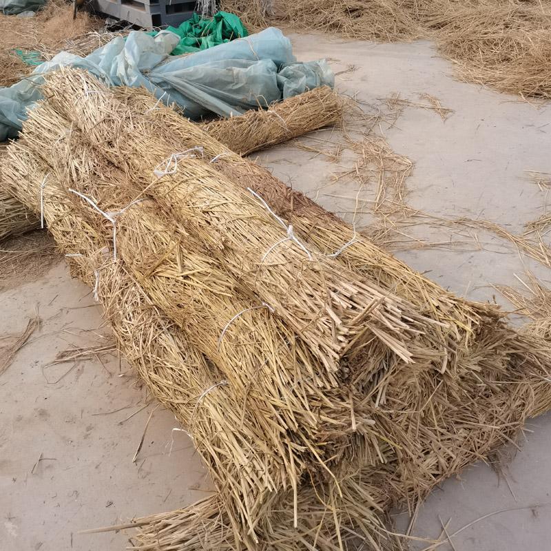 济宁茂源绿化草制品生产基地