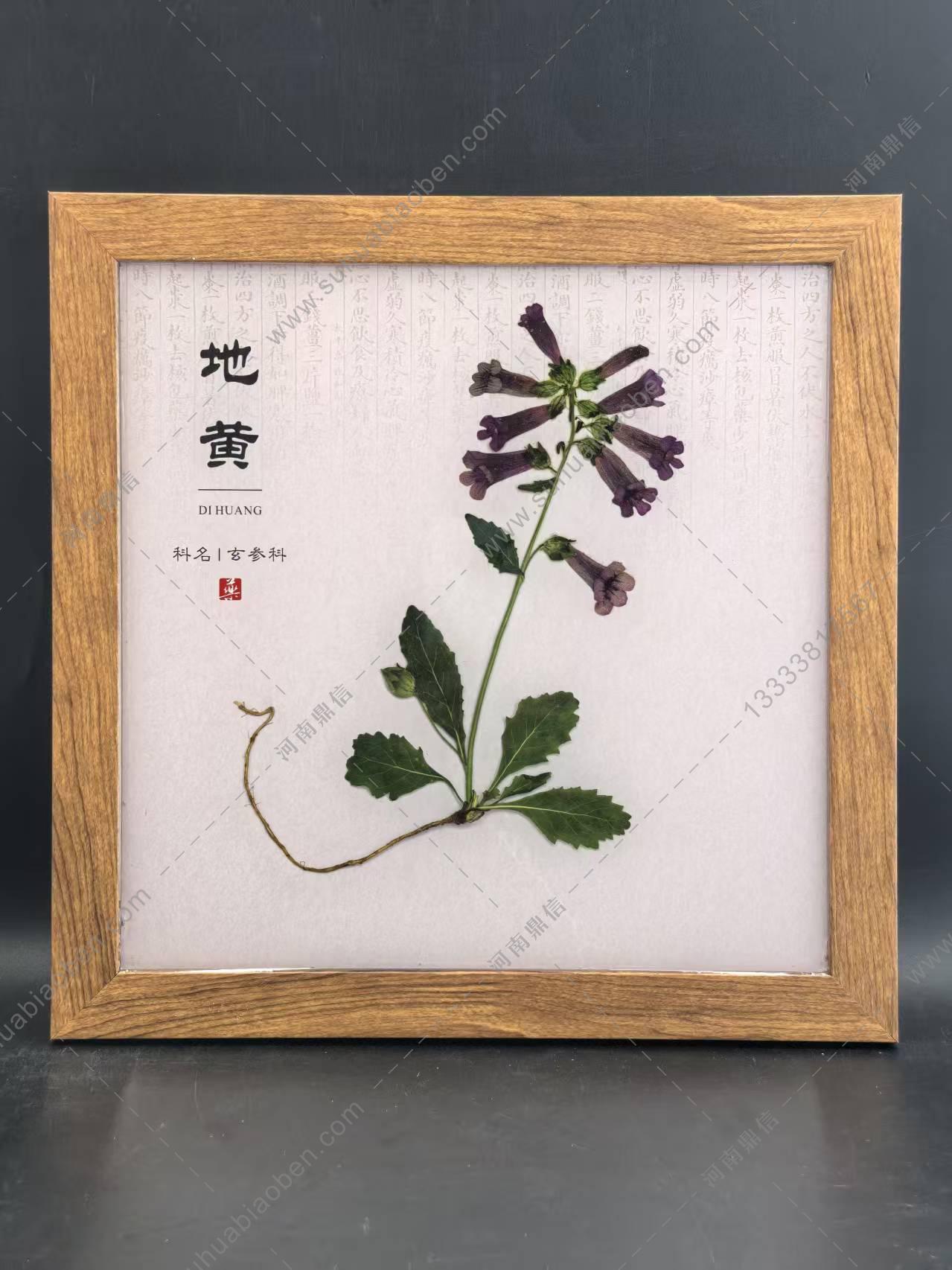 项目案例与团队协作