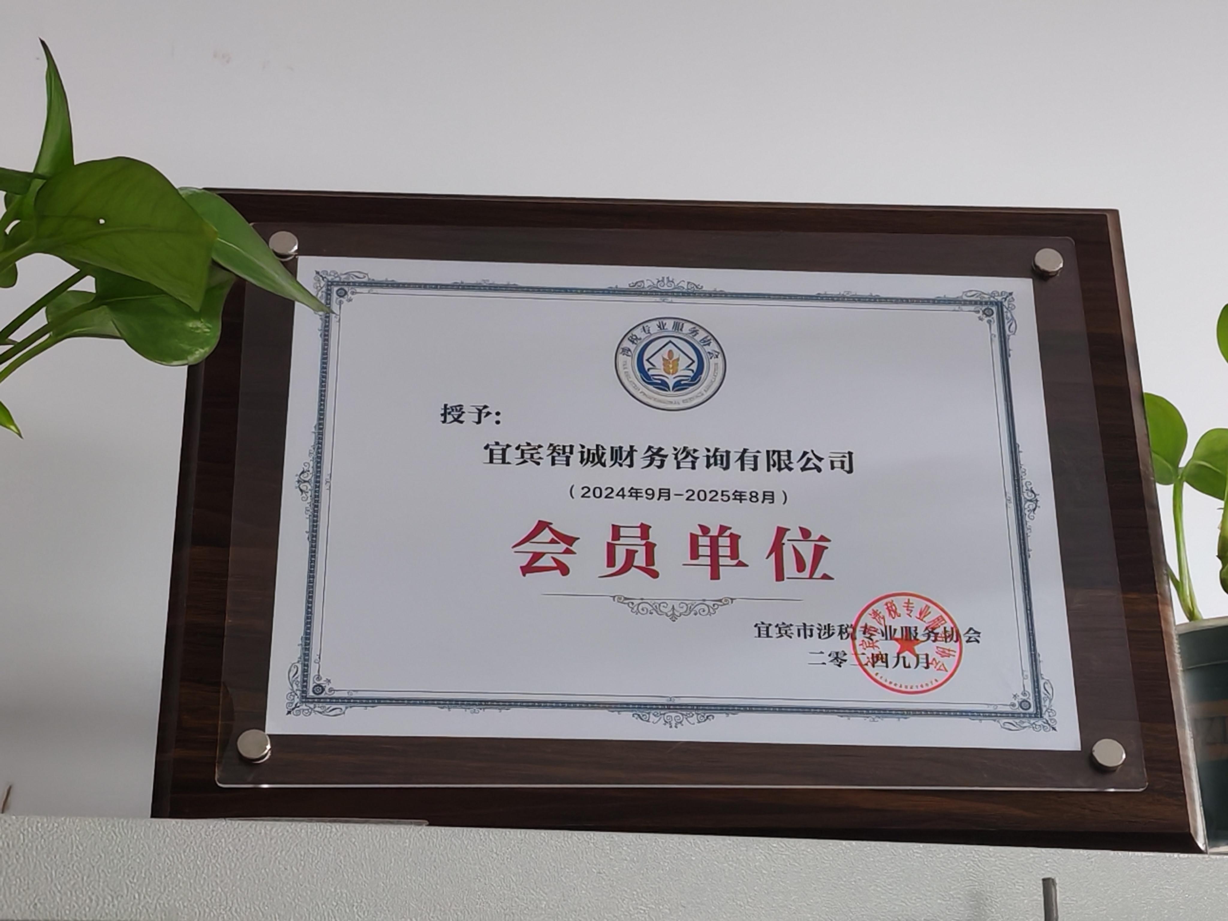 宜宾智诚财务咨询有限公司