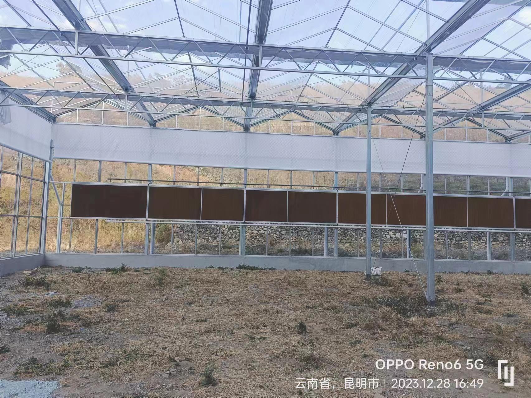 青州顺祥温室工程有限公司案例图