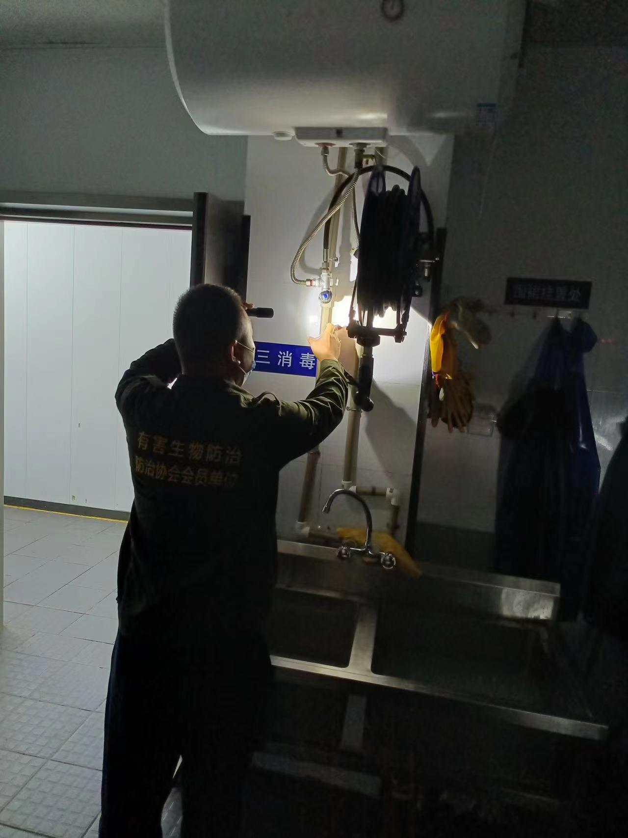 苏州速灵虫控服务流程示意