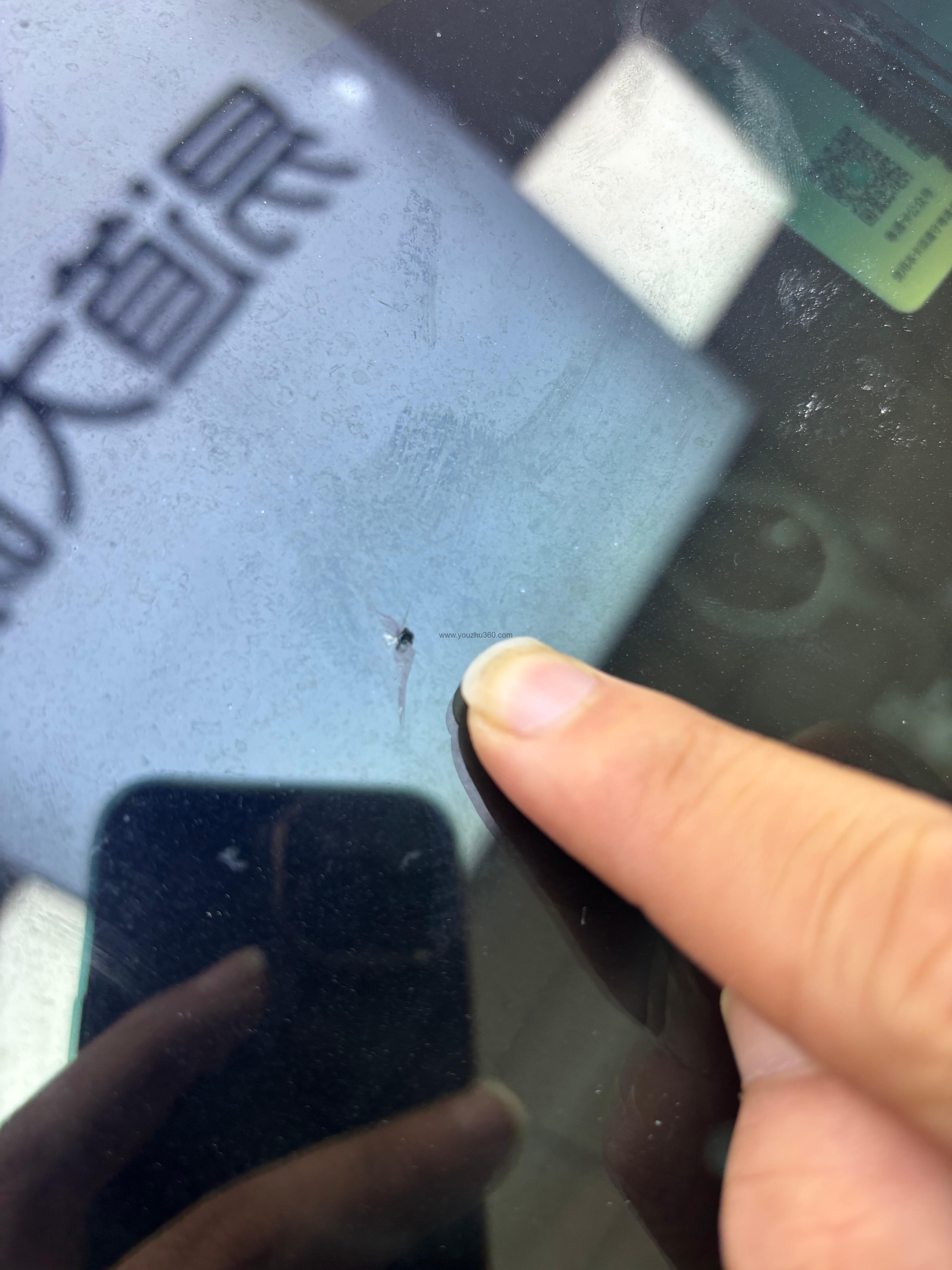 汽车玻璃贴膜效果