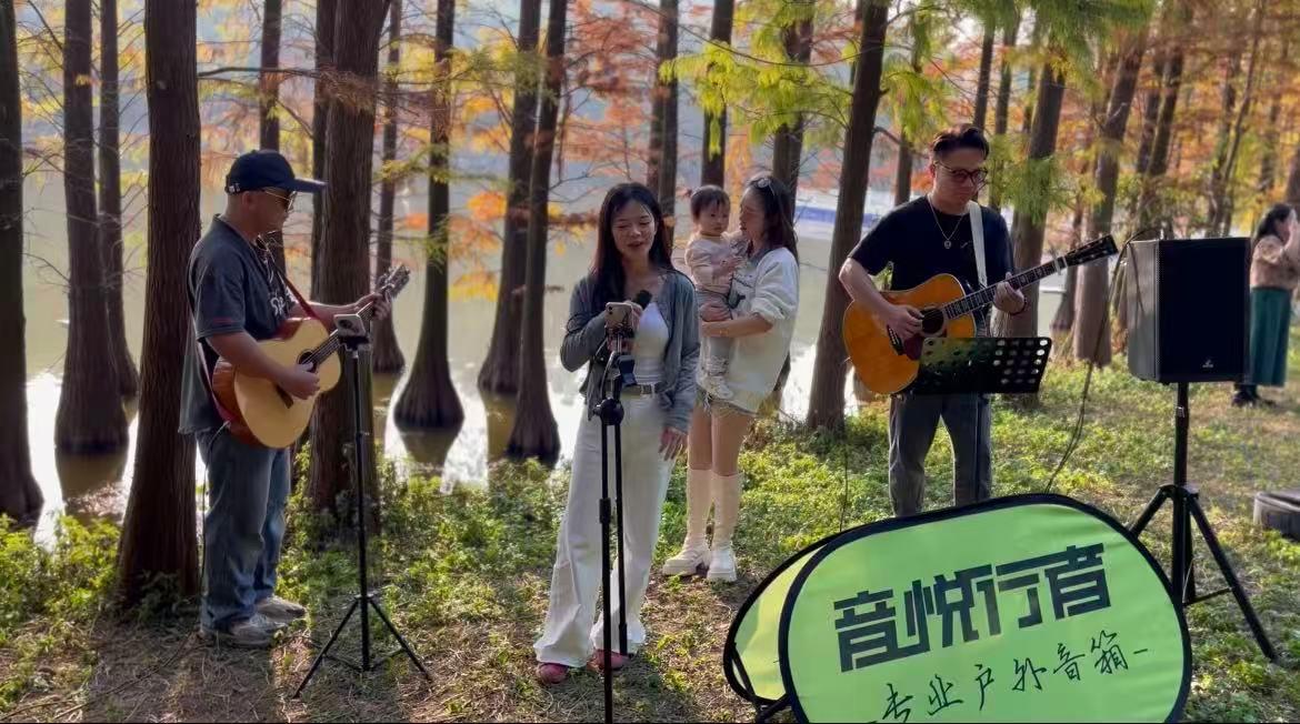 佛山瑞聆臻音电子有限公司技术实力