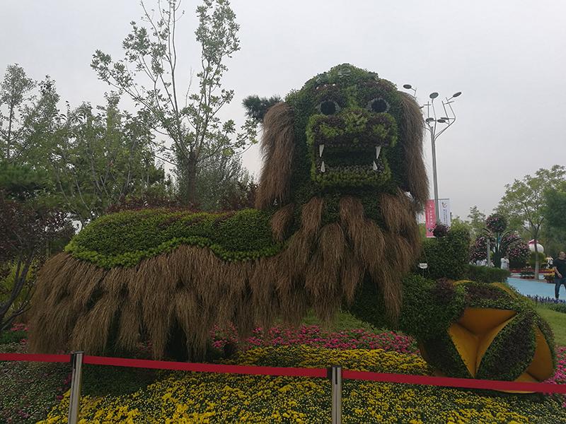 五色草绿雕造型