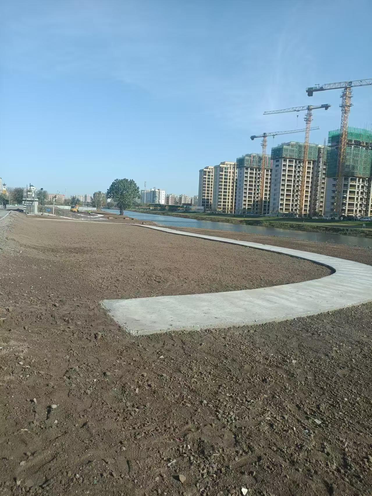 草坪铺植施工实景