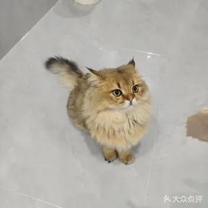 宠和宠医设备展示