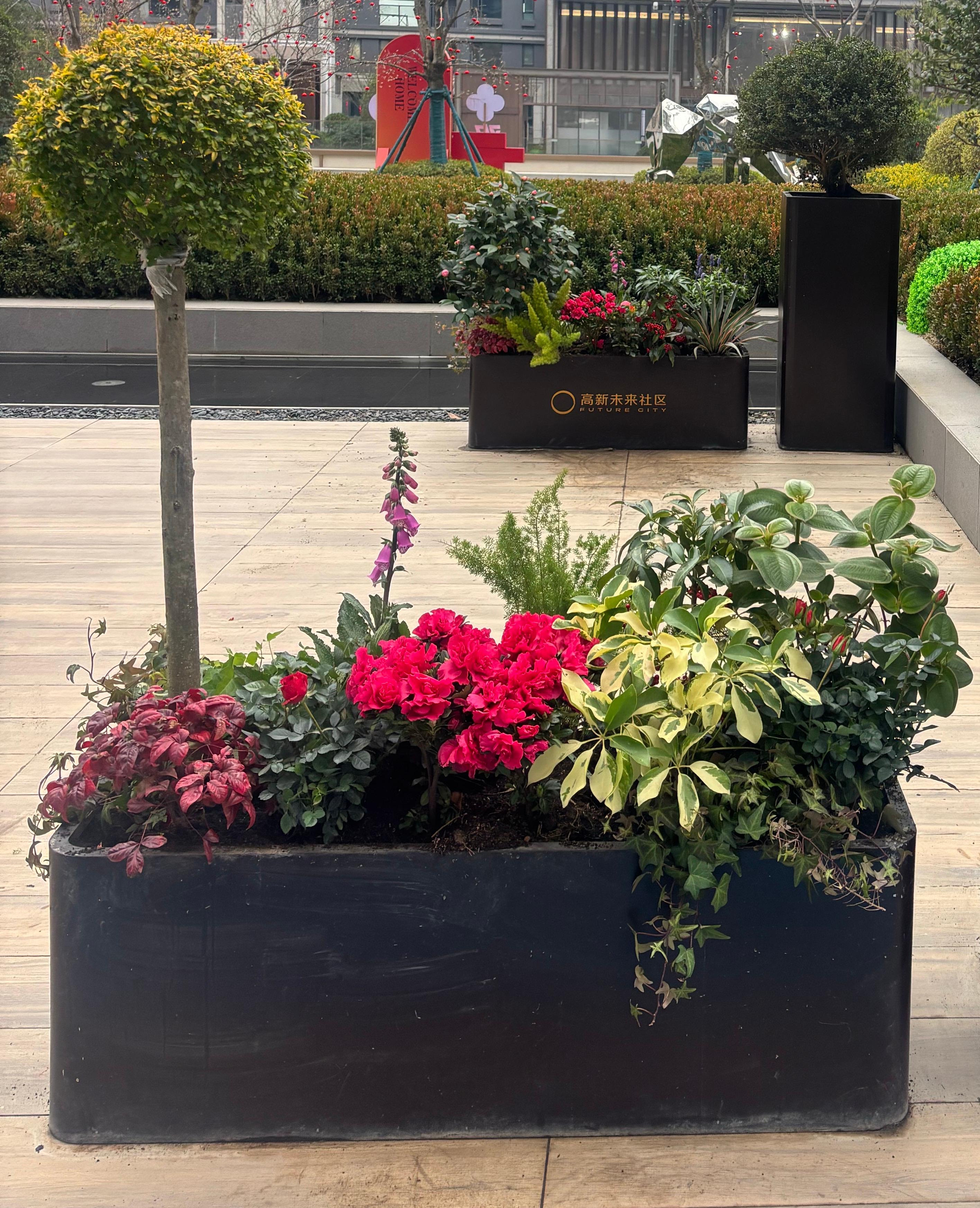 江西碧盈花卉园艺基地实景