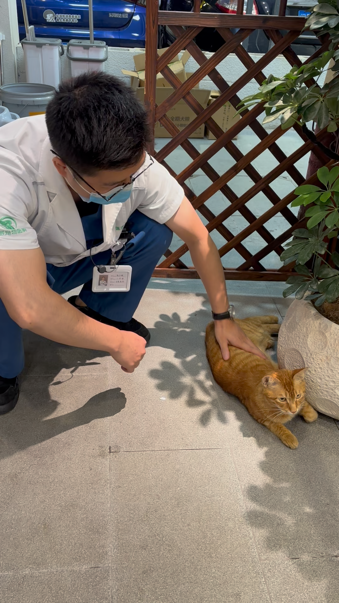 瑞派好伴侣宠物医院