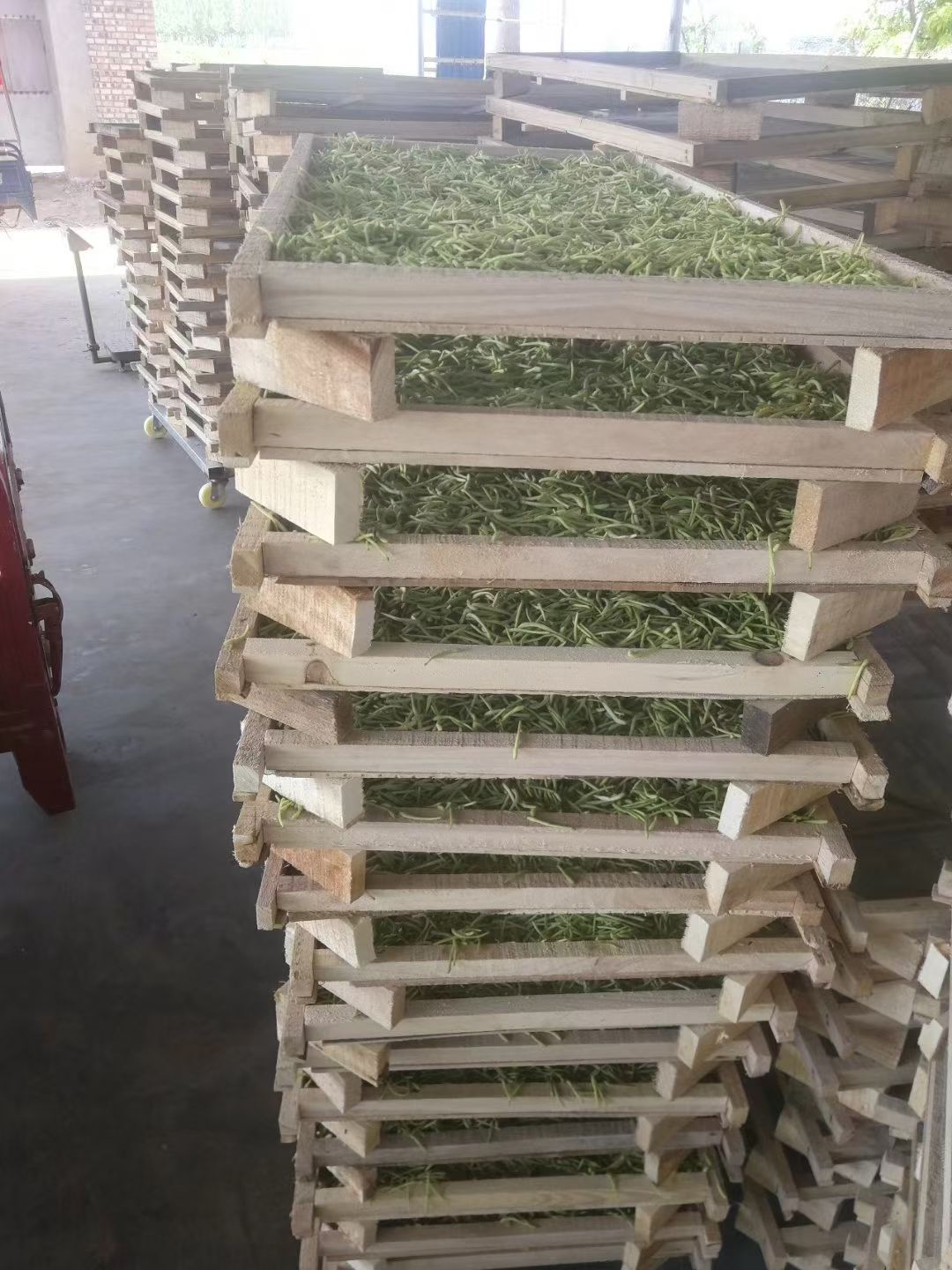 广东奥伯特热泵烘干机
