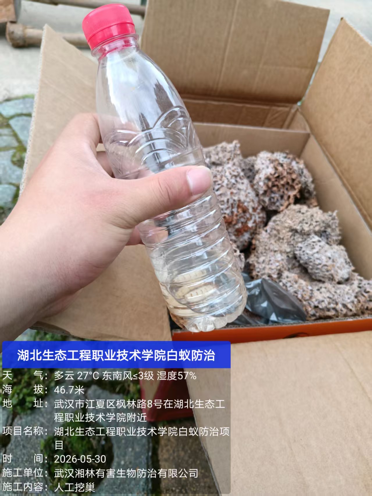 白蚁防治技术设备