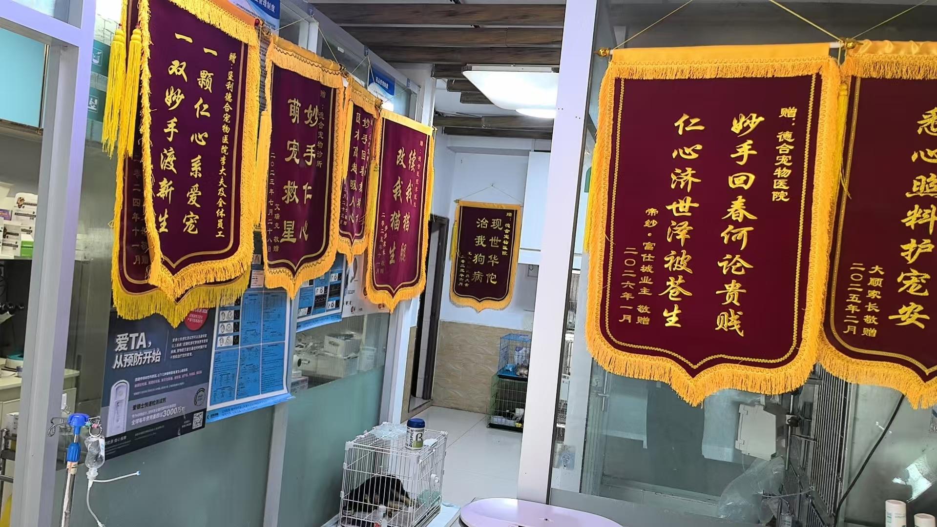 德合宠物医院内部手术室环境