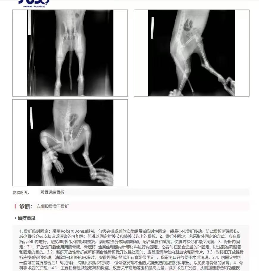 爱宠之家宠物医院手术室内部
