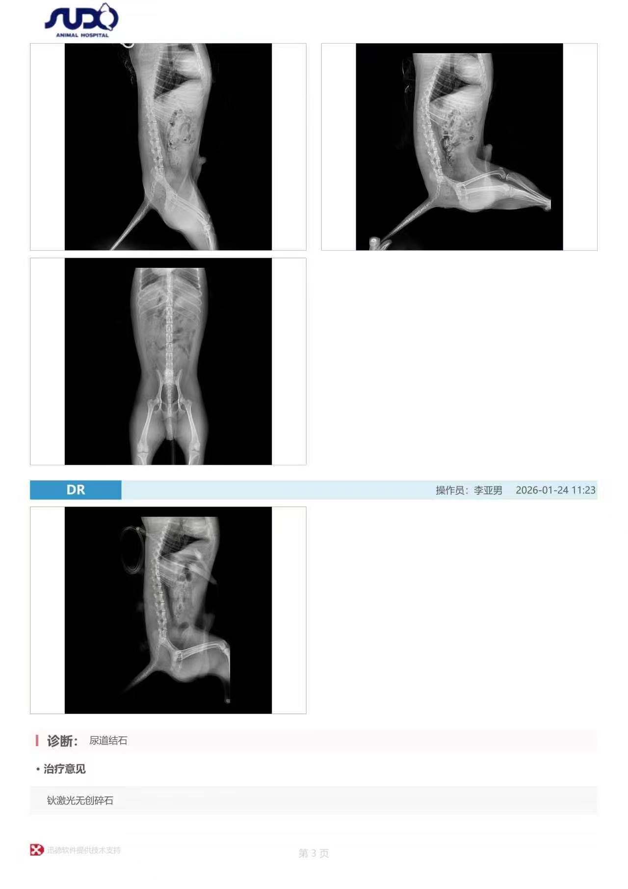 爱宠之家宠物医院外部环境