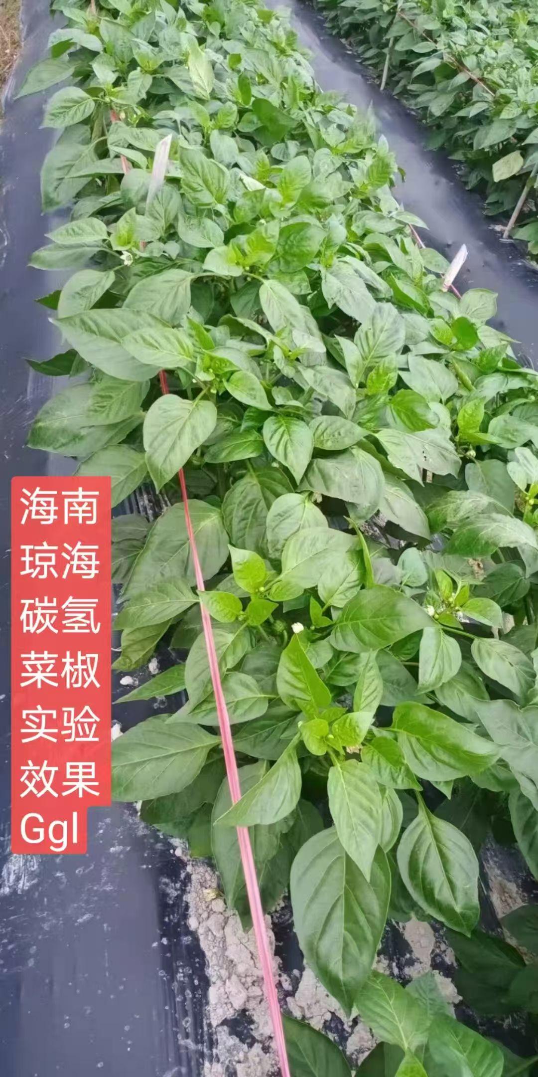 山东军神碳氢生物科技有限公司
