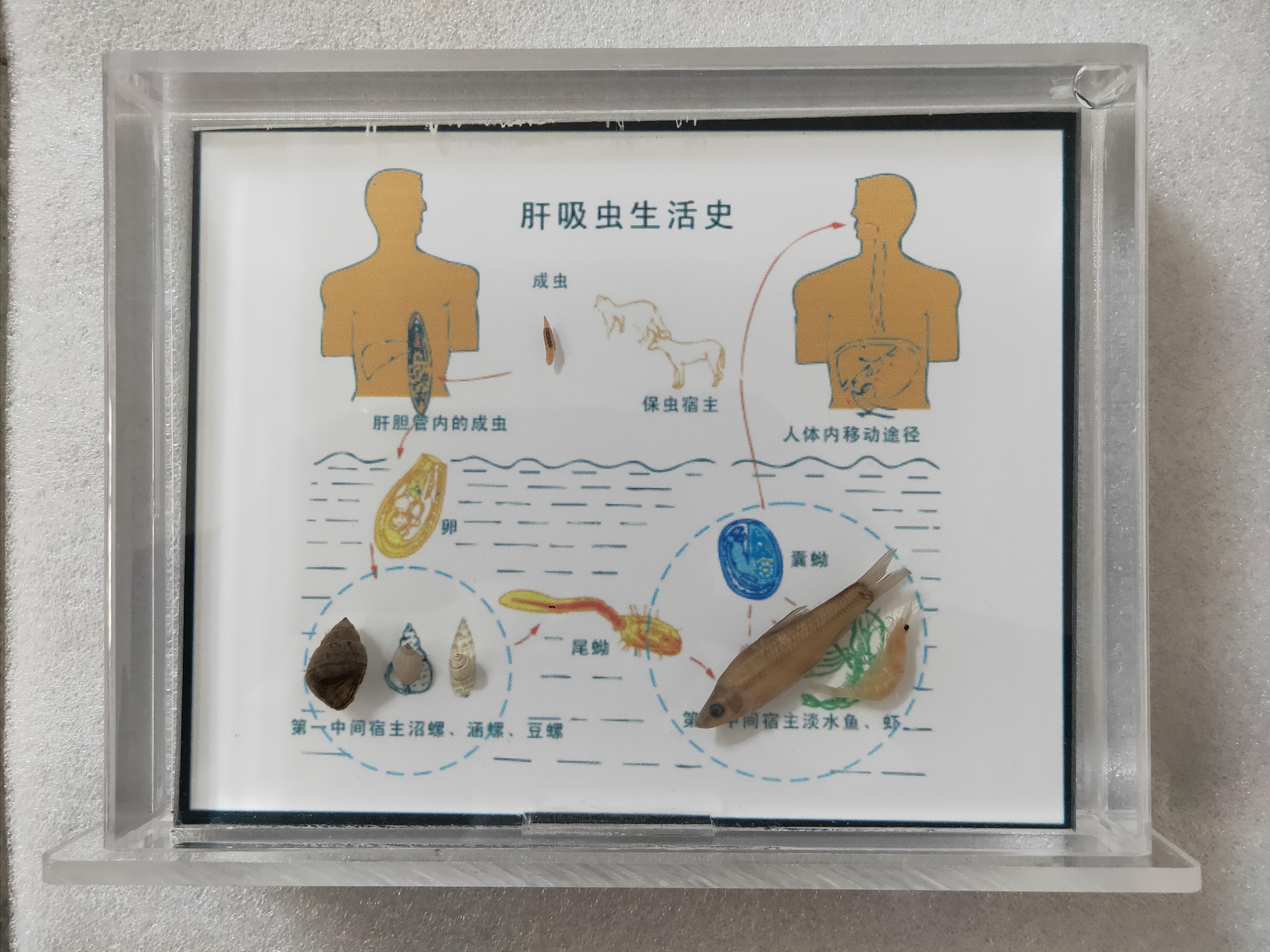 新乡市禾力教学设备有限公司
