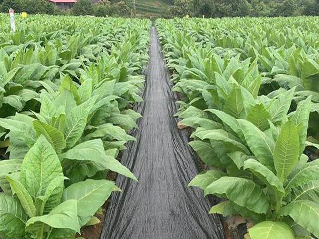 山东环农生态科技产品应用场景