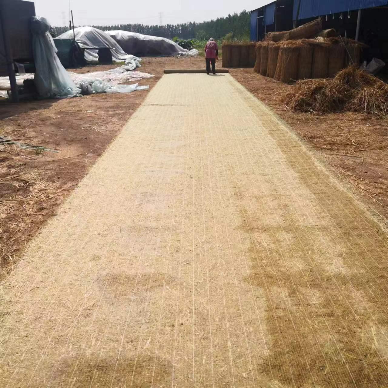 济宁茂源绿化草制品有限公司生产基地
