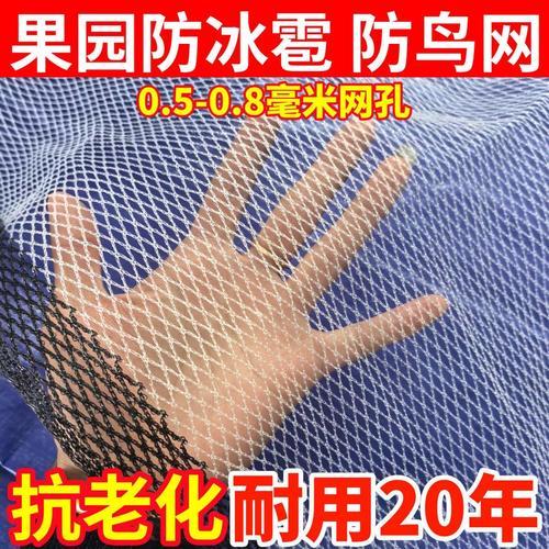 蔬菜防护网与农用防护网现场应用场景