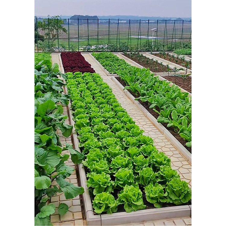 水泥菜沟板产品实拍