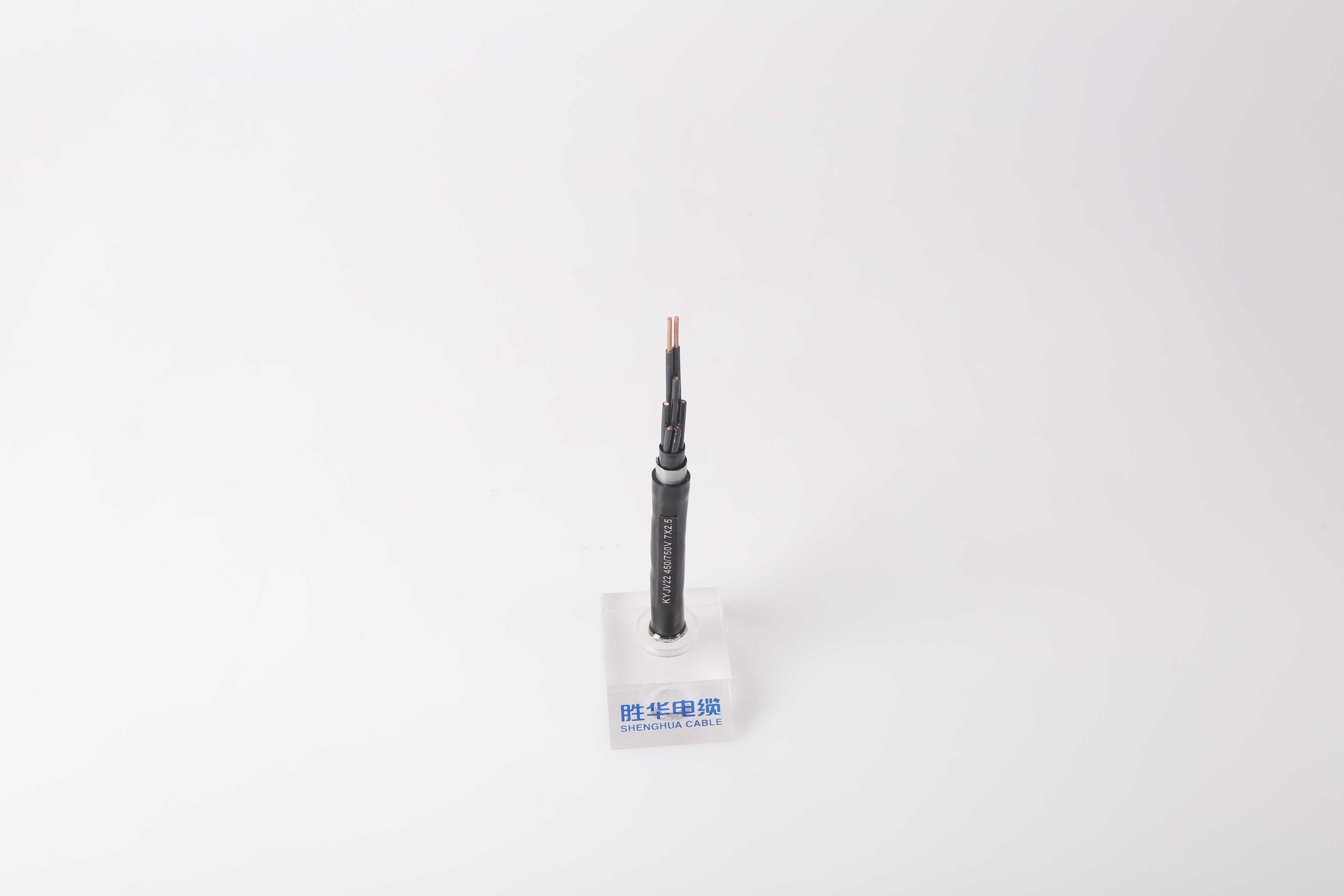 河南胜华电缆集团厂区
