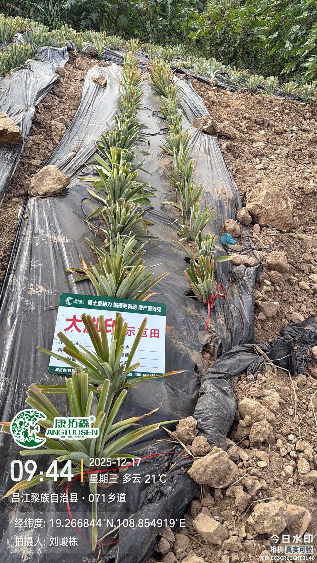 康拓森生物科技工厂实景