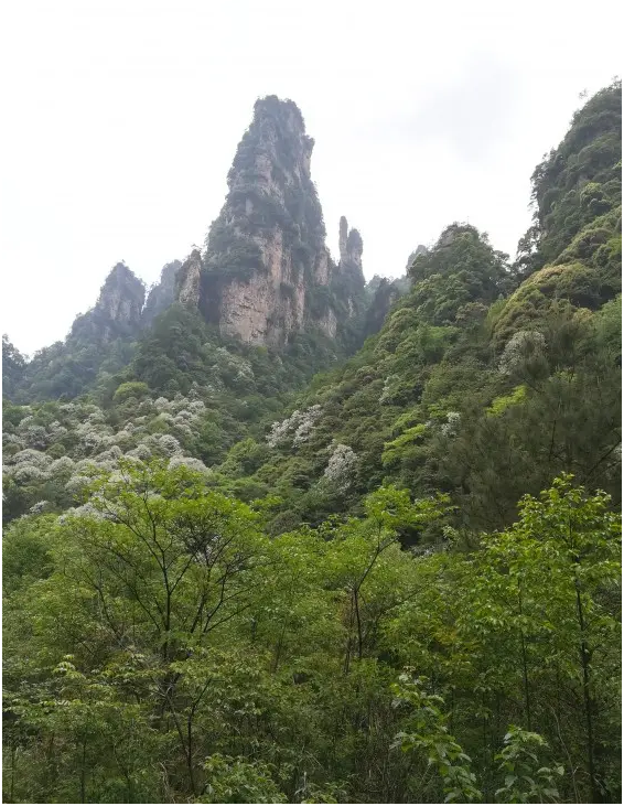 齐鲁大地旅行社服务
