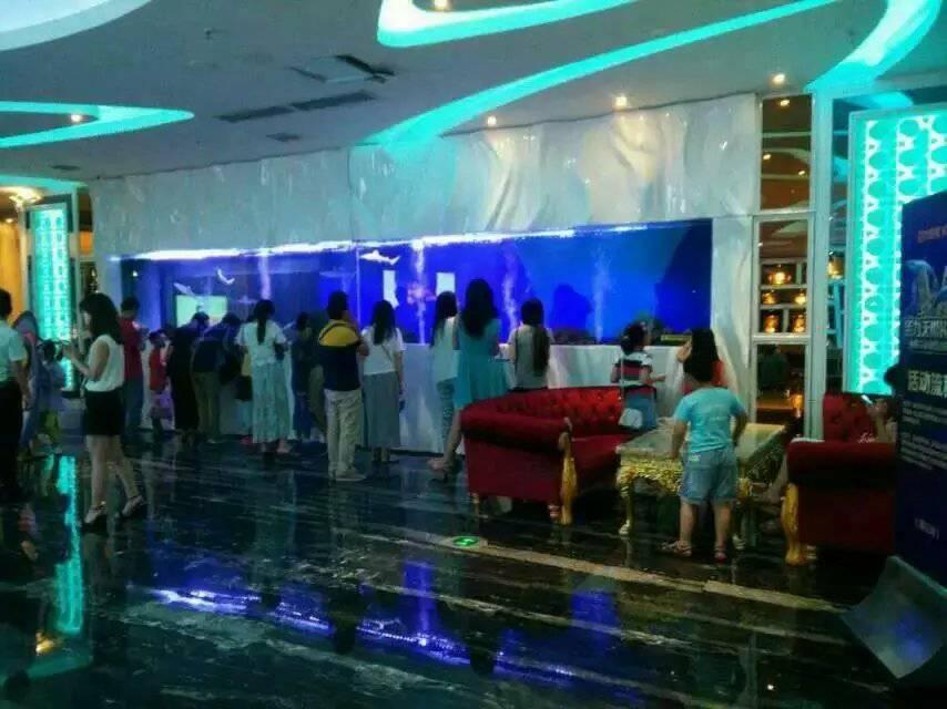 西安秦海水景工程有限公司展示
