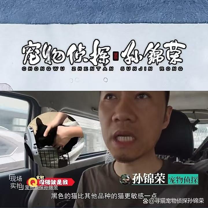 孙锦荣寻宠团队工作场景