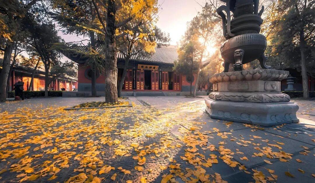 团队服务形象