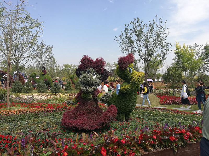 菊展现场效果