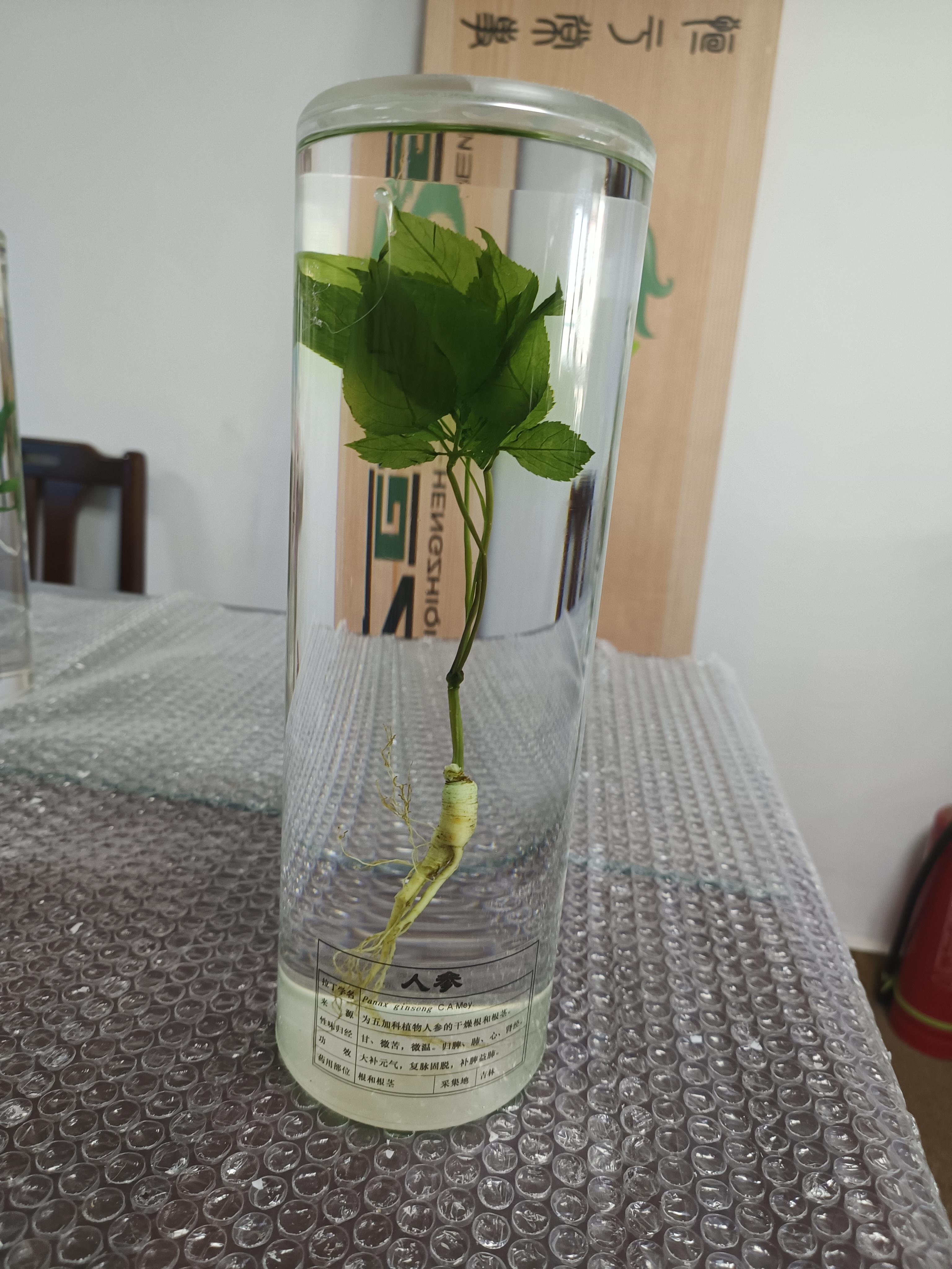 模拟药房批发厂家 产品匹配度分析