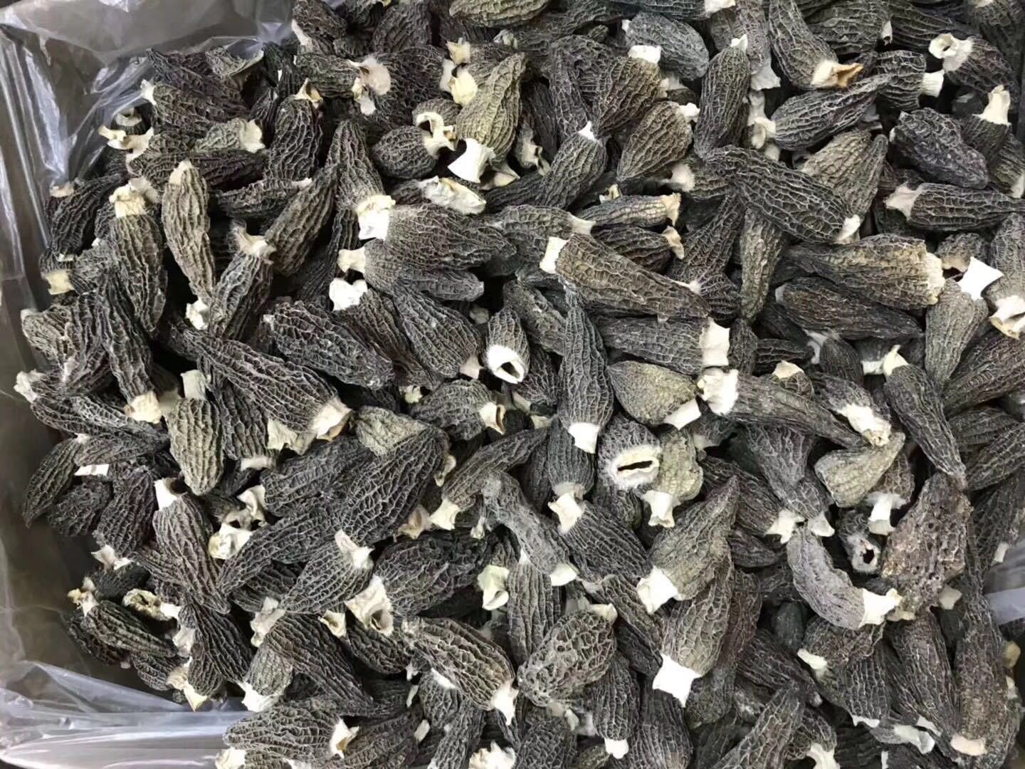 广东奥伯特节能设备有限公司