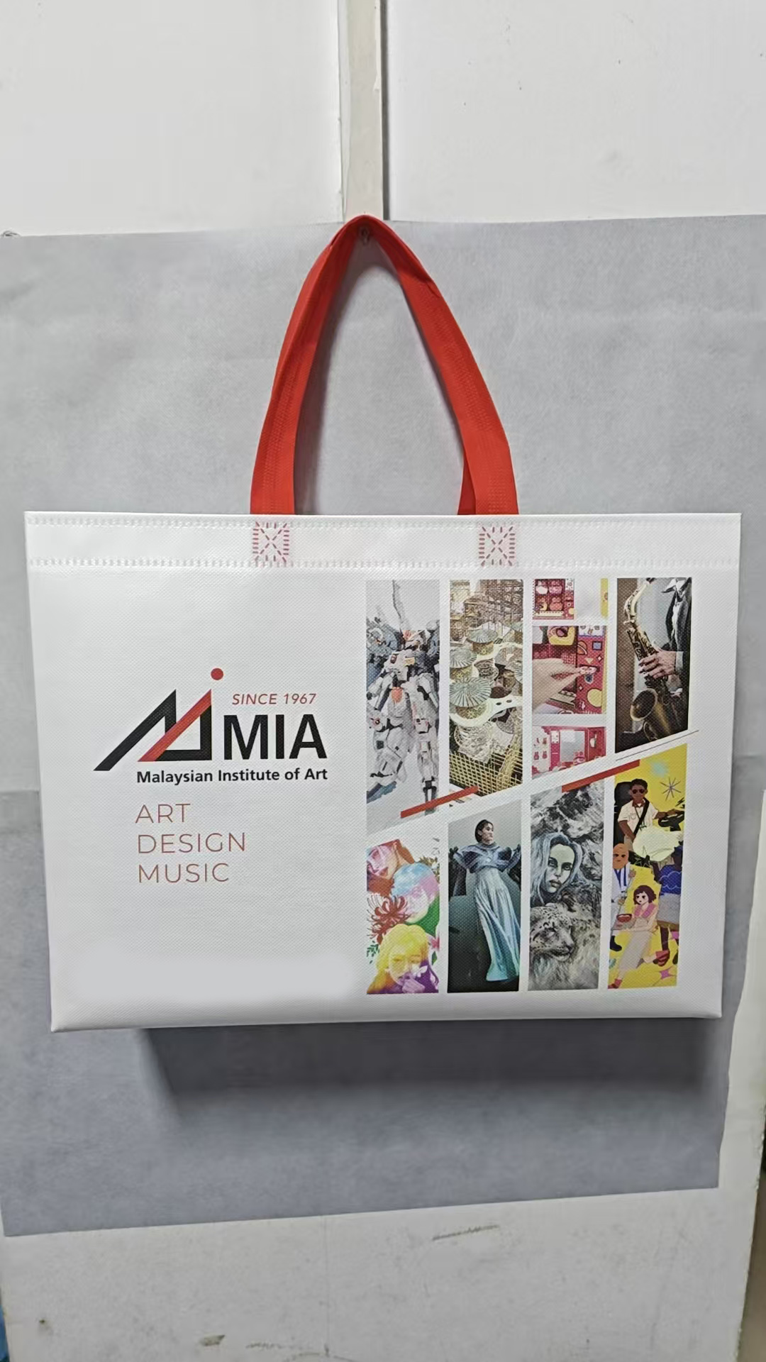 无纺布手提袋产品展示