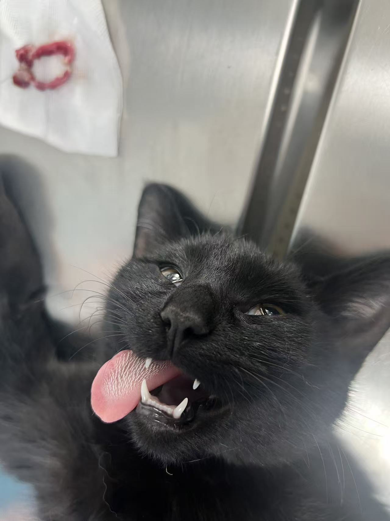 德宠动物医院设备